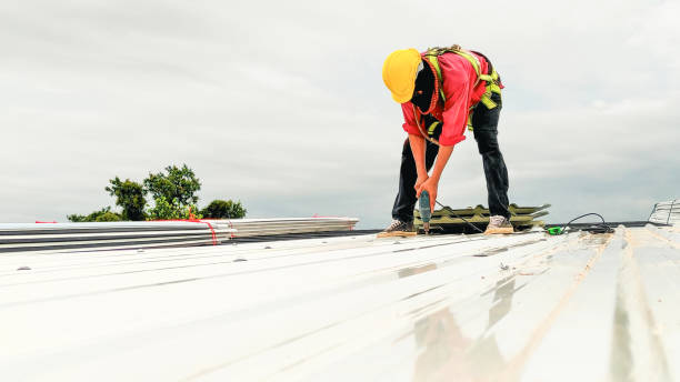 Best Metal Roofing Installation  in Chittenango, NY